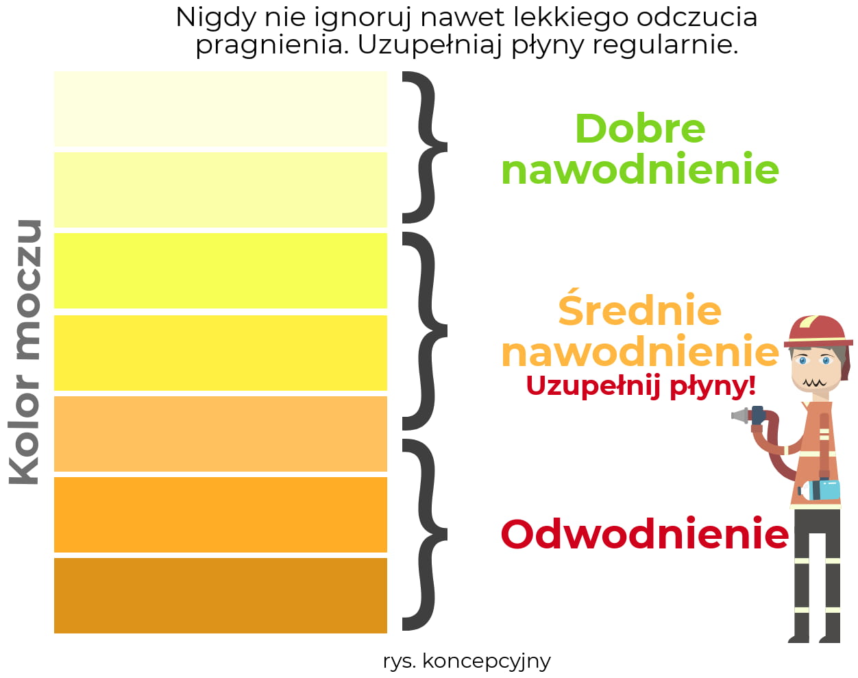Kolor moczu a odwodnienie - infografika główna